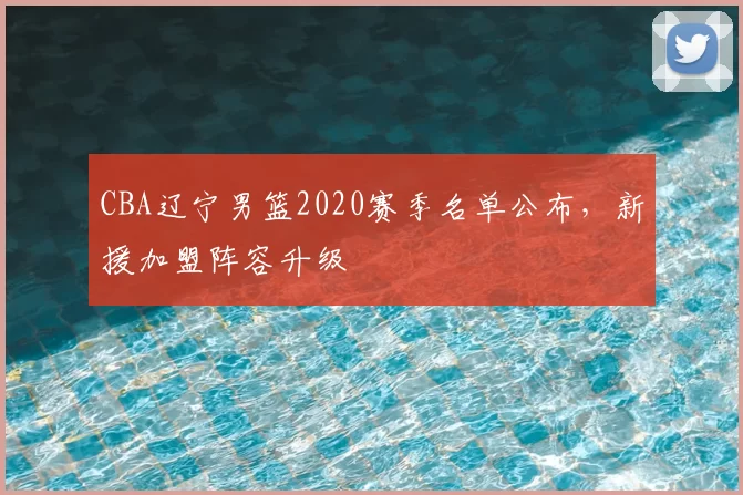 CBA辽宁男篮2020赛季名单公布，新援加盟阵容升级