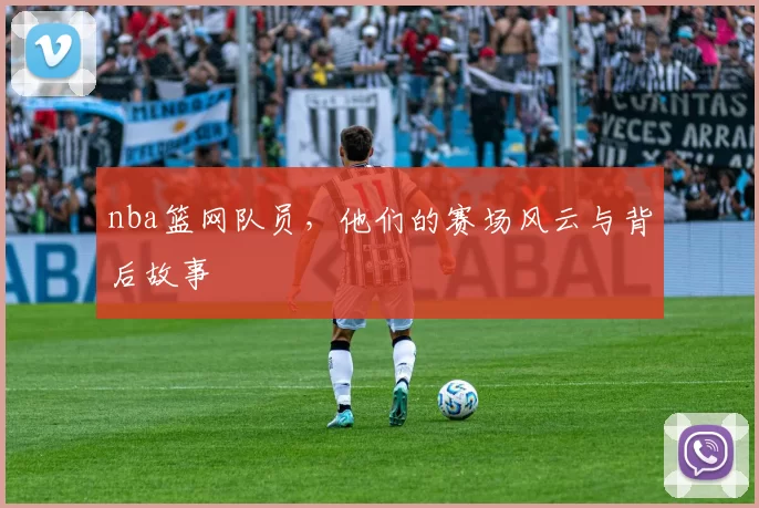 nba篮网队员，他们的赛场风云与背后故事