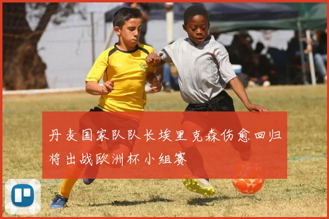 丹麦国家队队长埃里克森伤愈回归将出战欧洲杯小组赛