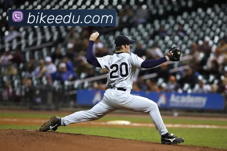 星空官方在线登录服务体系